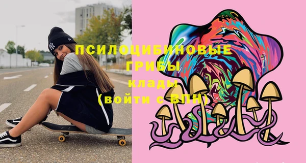 сатива Баксан