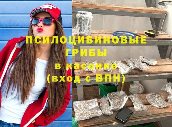 сатива Баксан