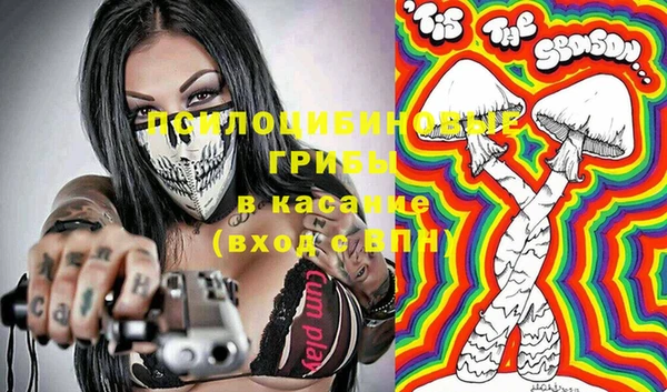 сатива Баксан