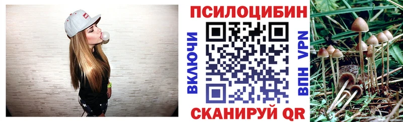 блэк спрут как войти  Урус-Мартан  Псилоцибиновые грибы мухоморы 